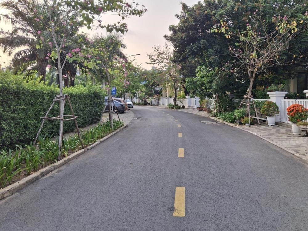 Villa Nở Hậu Sentoria Vườn Lài Q12 - 477m2, Giá 3x Tỷ