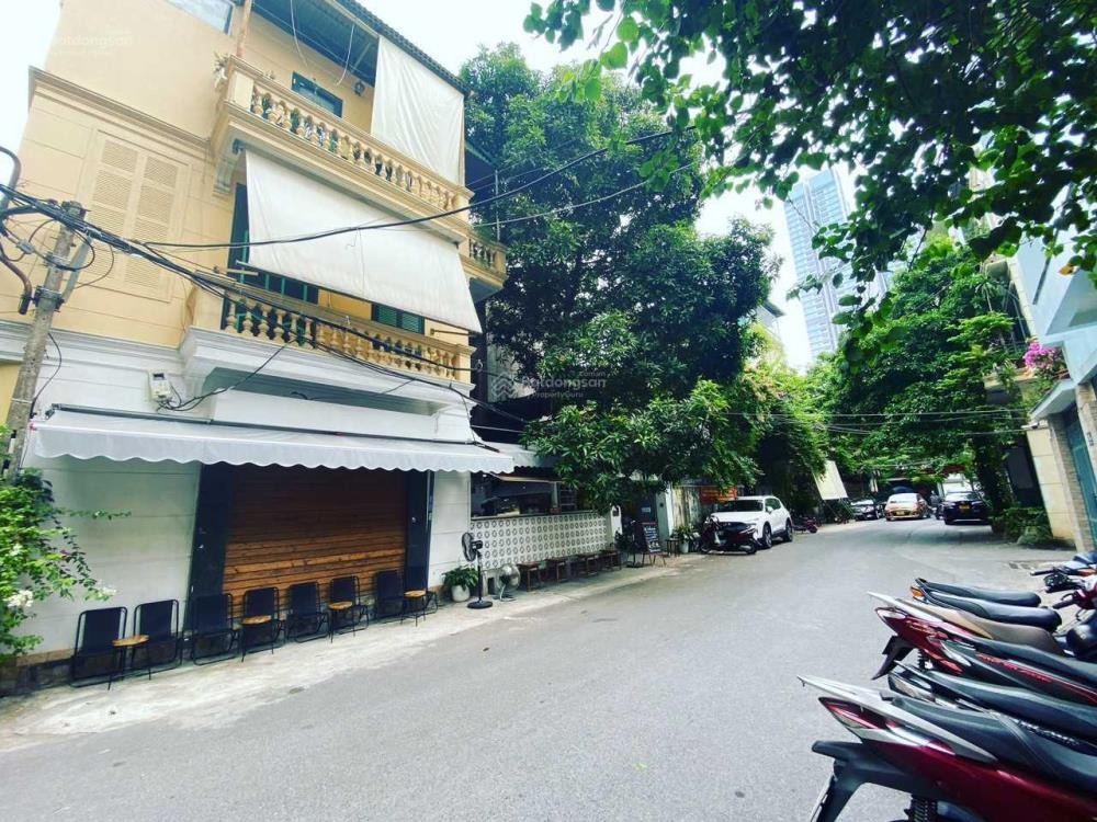 Biệt thự Vip Liễu Giai: 220m2, 6 Phòng Ngủ, Ngõ Ô Tô, Giá 91 Tỷ