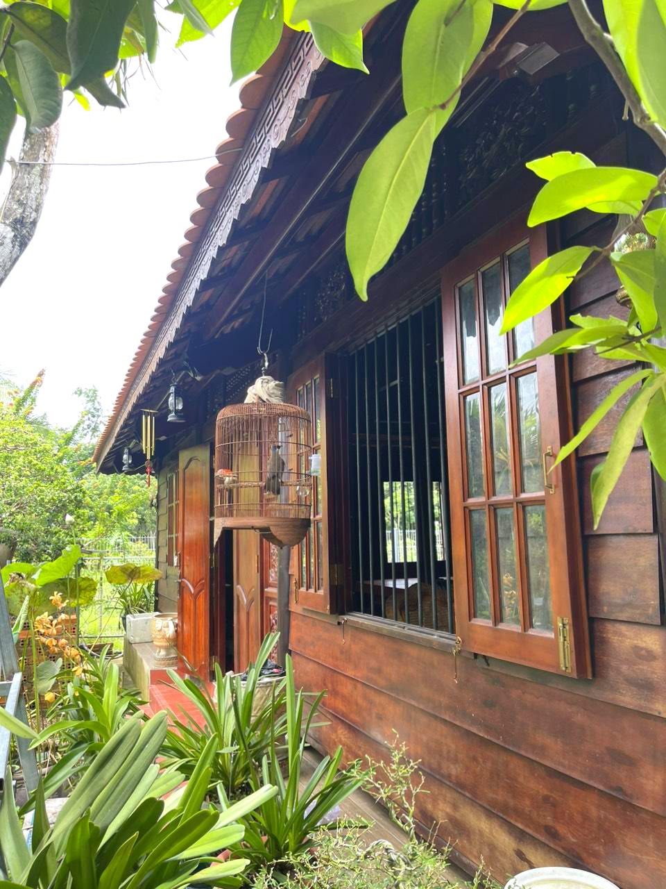 Nhà Vườn Mặt Tiền Nguyễn Thị Chì - 1257m2, 17x78m - Chỉ 1x Tỷ