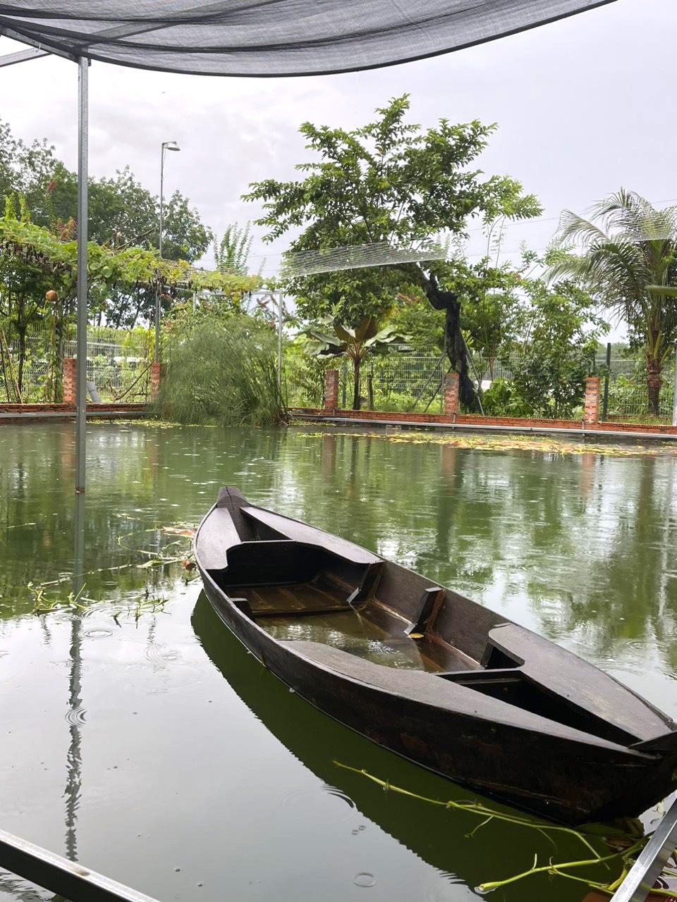 Nhà Vườn Mặt Tiền Nguyễn Thị Chì - 1257m2, 17x78m - Chỉ 1x Tỷ