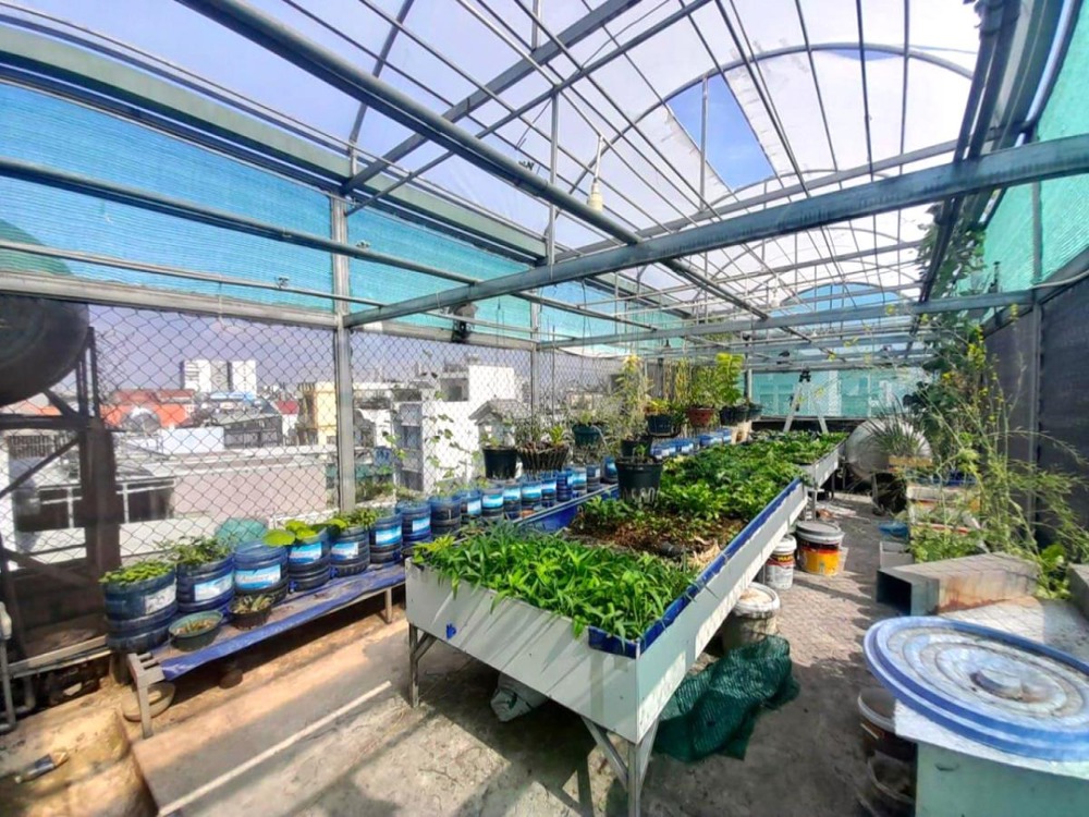 🔥 Giảm 550tr - Nhà Nở Hậu, 81m2, 3 Tầng, Quận 12 - Vị Trí Đắc Địa