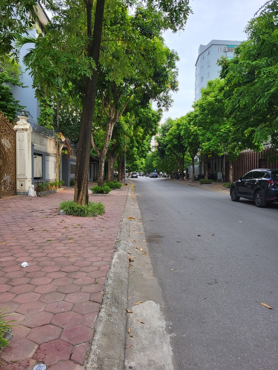 Bán Biệt Thự Trung Yên Giá Tốt: 230m2, Lô Góc, 91 Tỷ - Vị Trí Đắc Địa