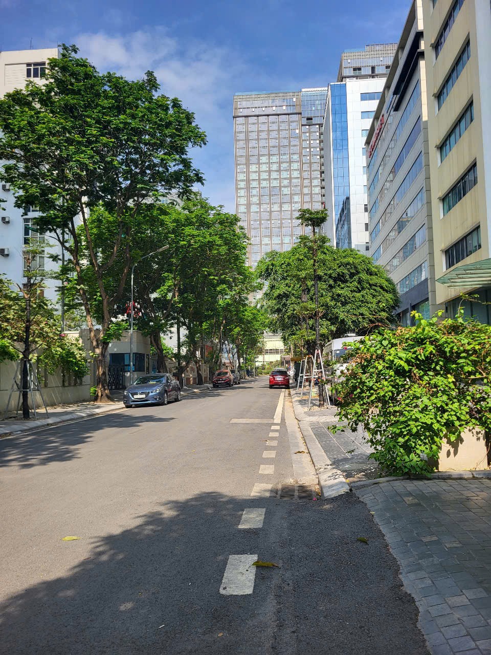 Biệt thự đơn lập Trung Yên - 220m² Lô Góc - Giá 100 tỷ