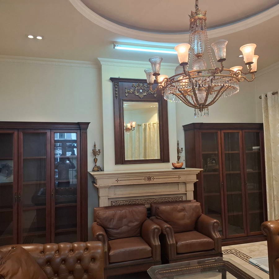Bán Biệt Thự Phố Độc Đáo, 236m2, 5 Tầng, Lô Góc, Quận Cầu Giấy - Giá 130 Tỷ