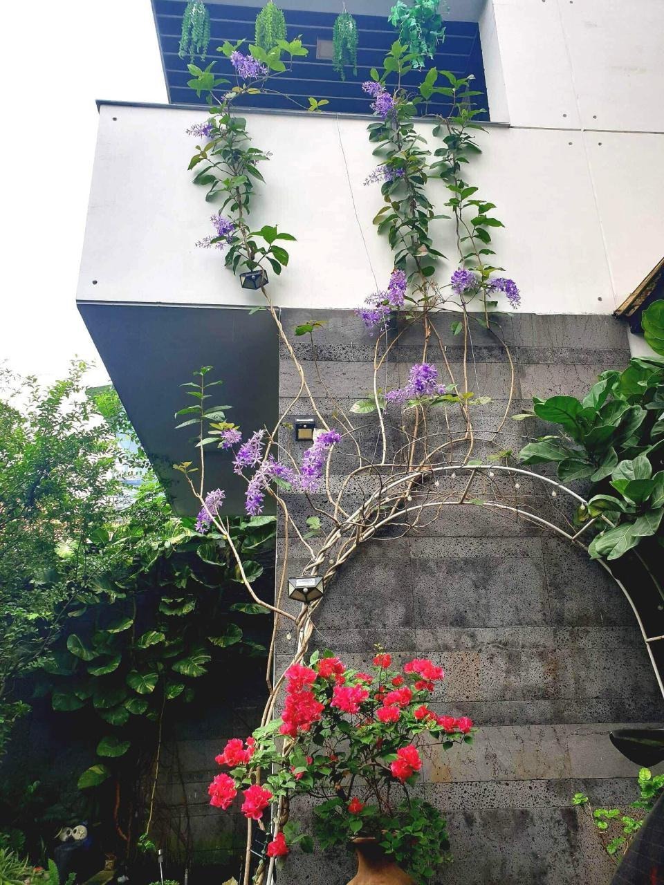 Biệt Thự 2 Tầng Quận 12 - 229m2, Giá Chỉ 16.9 Tỷ