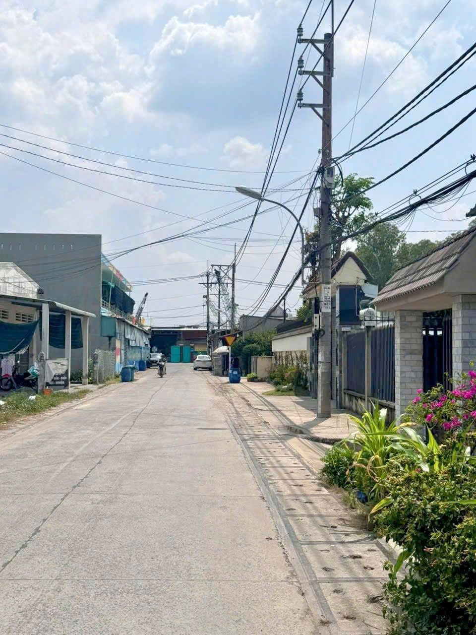 Bán đất Củ Chi - Tân Thông Hội 80m2, 1 tỷ 2, SHR, công chứng ngay