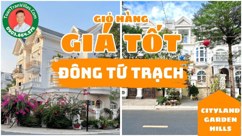 Biệt Thự Góc Cityland Gò Vấp: Vị Trí Phong Thủy, Giá Tốt Nhất