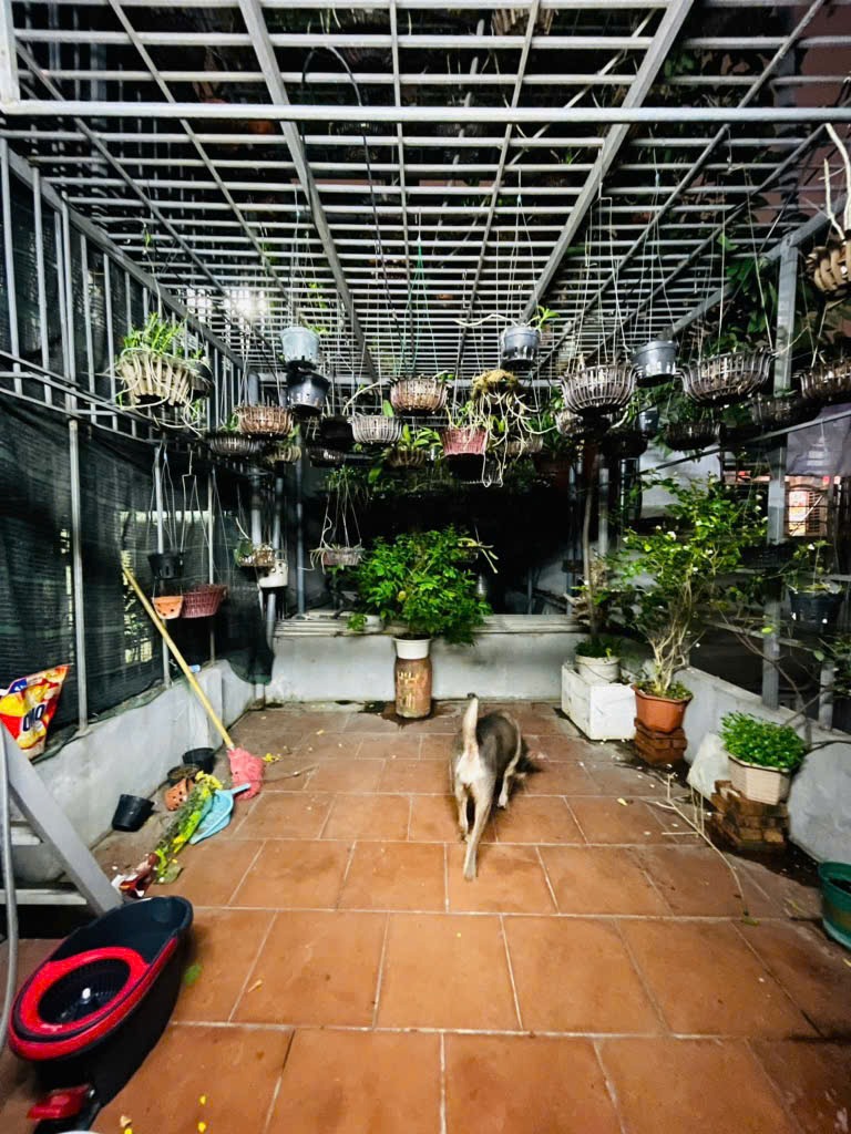 🏡 Nhà đẹp Đống Đa - Dân xây - Thiết kế hiện đại - Nội thất nhập khẩu