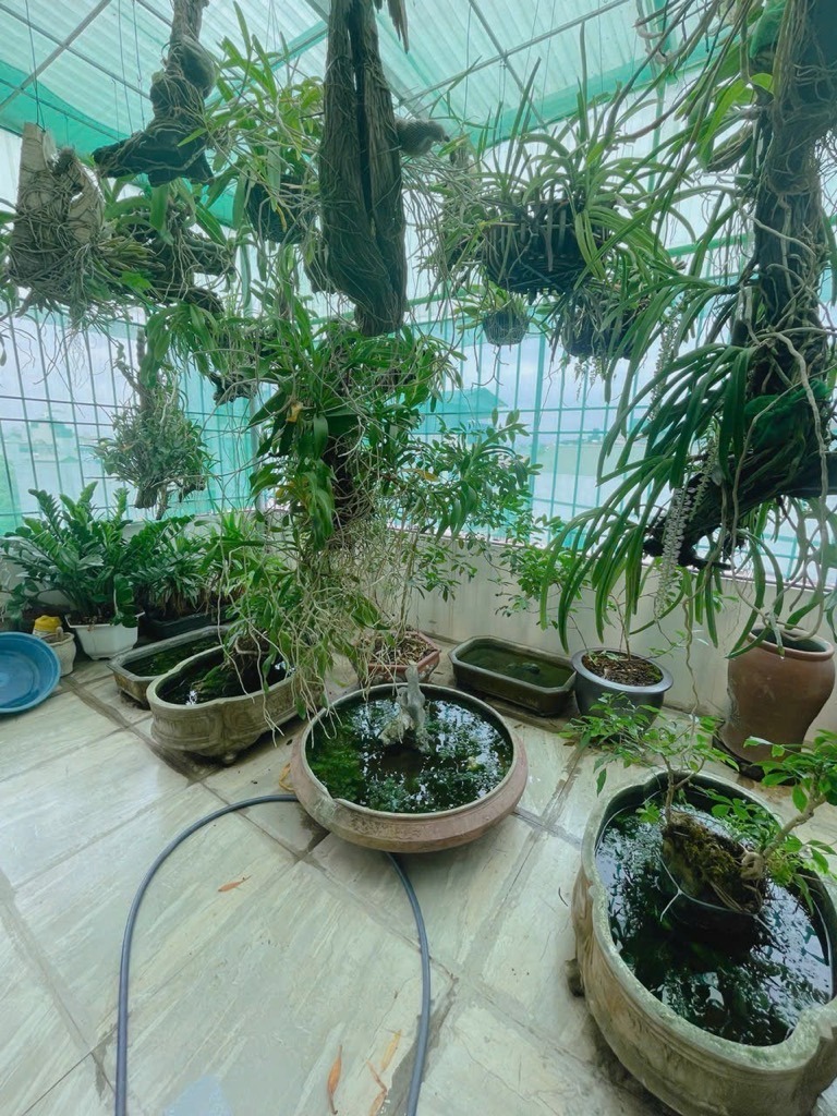 Nhà ngọc thuỵ đẹp - 31m - Giá 5.6 tỷ - Vị trí trung tâm, ô tô đỗ cửa