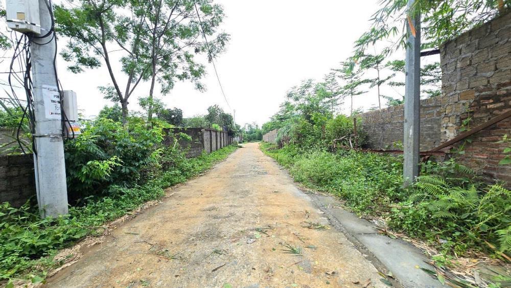 Bán đất nền vuông vắn, pháp lý rõ ràng tại Phú Mãn, Quốc Oai, Hà Nội - 916m²