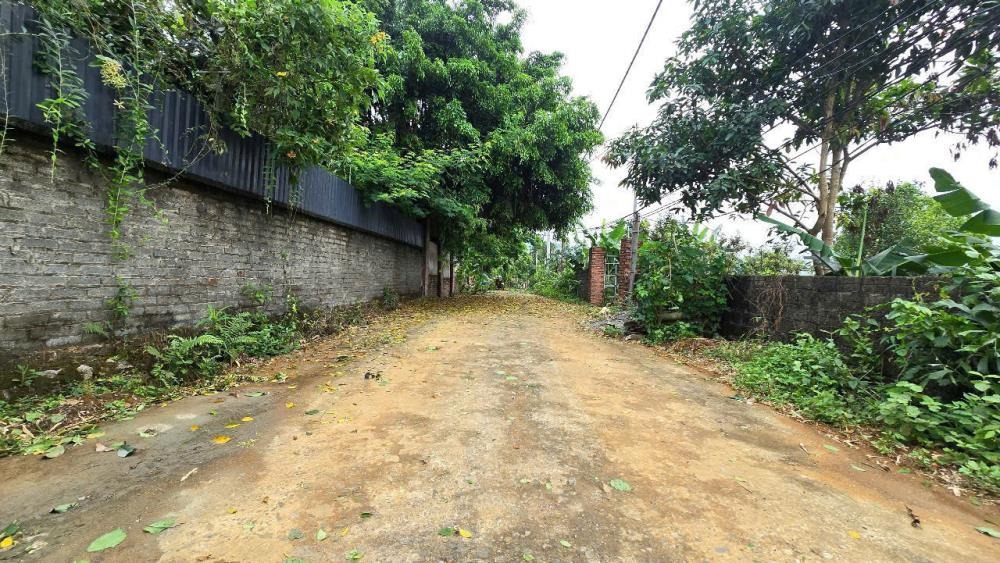 Bán đất nền vuông vắn, pháp lý rõ ràng tại Phú Mãn, Quốc Oai, Hà Nội - 916m²