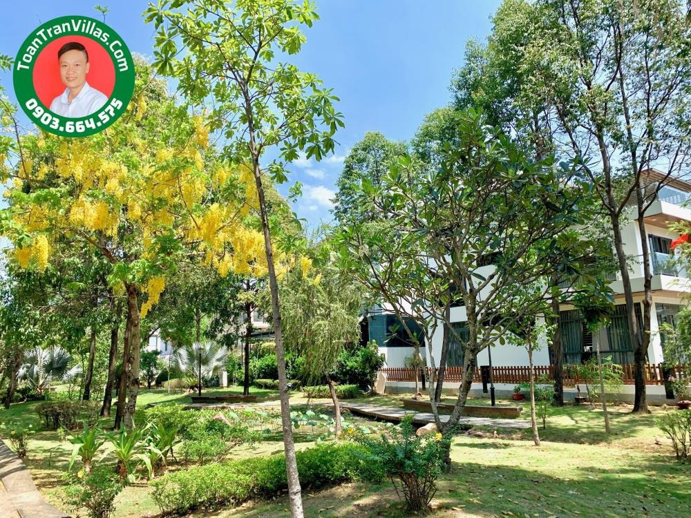 Nhà Phố Jamona Thủ Đức Giá Tốt - Tây Tứ Trạch - Cập Nhật Mới Nhất