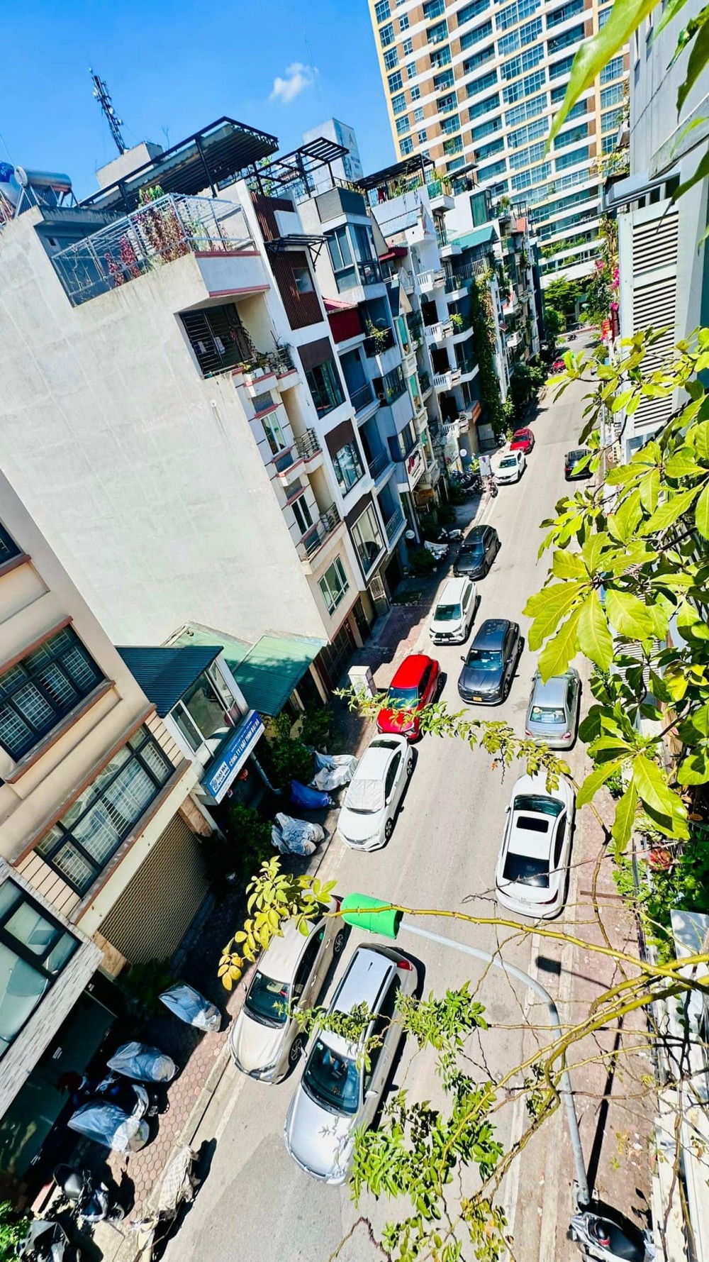 Mặt Phố Trần Đăng Ninh, Hà Đông: 7 Tầng, Tháng Máy, Kinh Doanh Sầm Uất