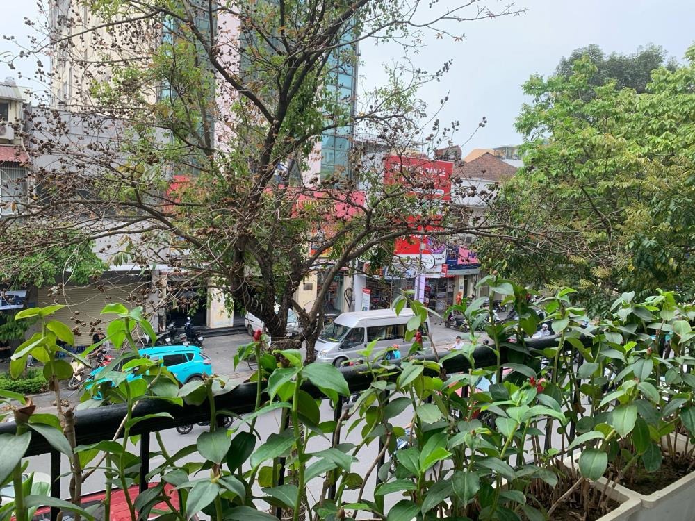 Bán Nhà Mặt Phố Hàng Bài, Hoàn Kiếm - 320m², 3 Tầng, Kinh Doanh Đỉnh Cao