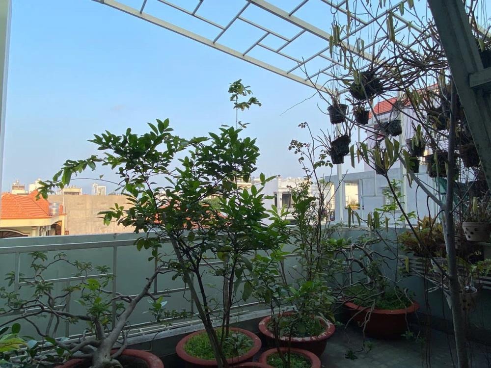 Nhà 65m² Tân Phú - 3PN, Hẻm Xe Hơi - Giá 7.6 Tỷ