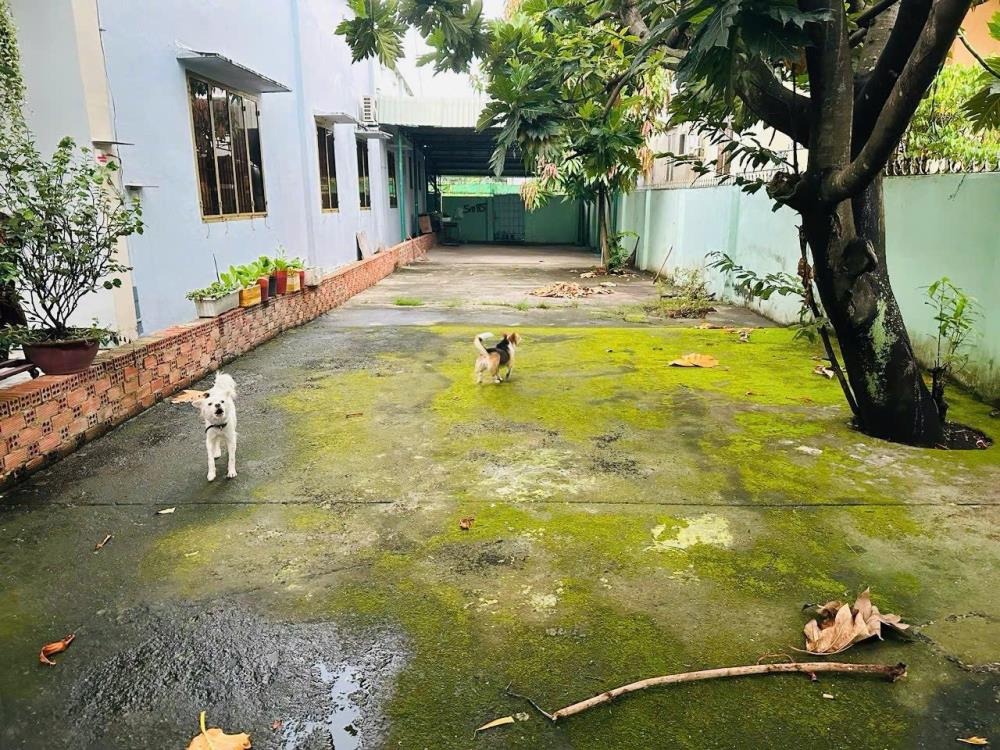 Bán Đất Thổ Cư Củ Chi - 175m2, Full Thổ Cư, Ngay Quốc Lộ 22