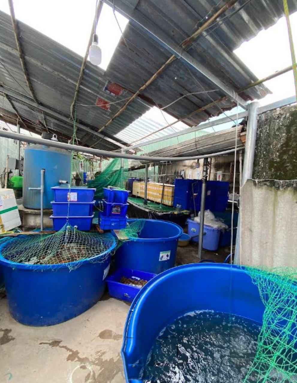 Nhà Mặt Tiền Giá Rẻ Quận 12: 261m², Nở Hậu, Pháp Lý Rõ Ràng