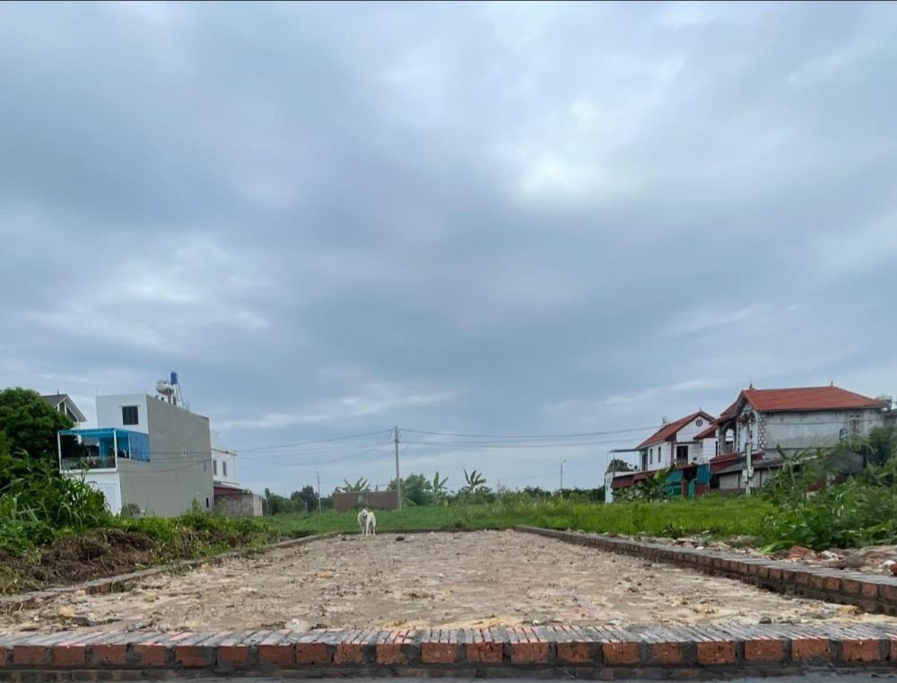 Bán Đất Quang Minh, Mê Linh: 58m² Full Thổ Cư, Ô Tô Đỗ Cửa