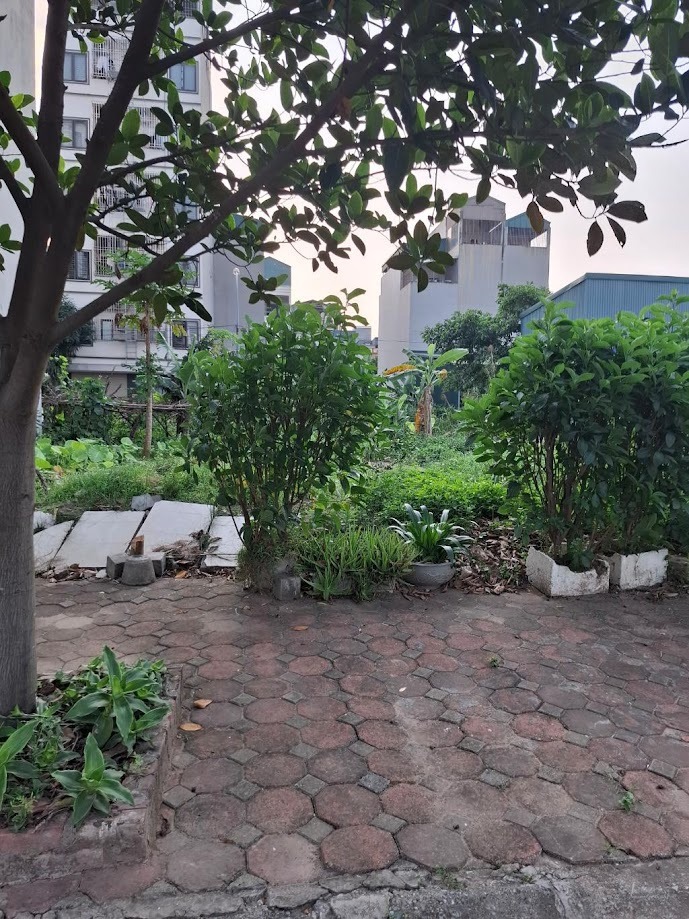 Đất Liền Kề Hà Đông Rẻ Nhất: Phân Lô Vuông Vắn, Vỉa Hè Ô Tô Đỗ - 10 Tỷ