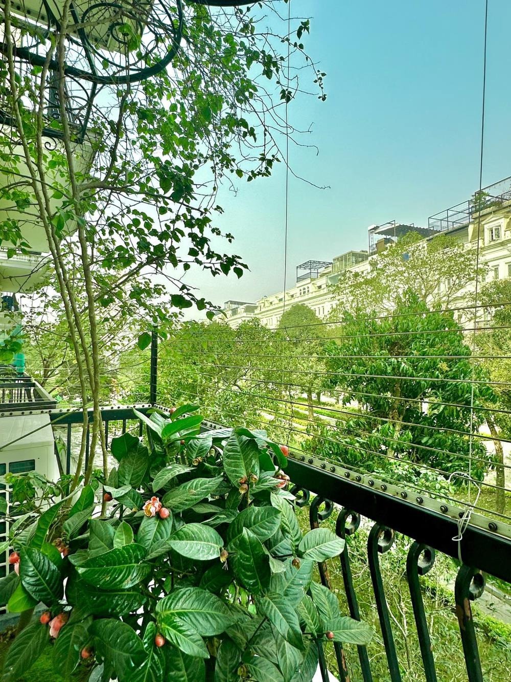 Bán Biệt Thự Liền Kề Louis City Đại Mỗ: 109m2, 6 Tầng, Mặt Tiền 5m, 46.5 Tỷ