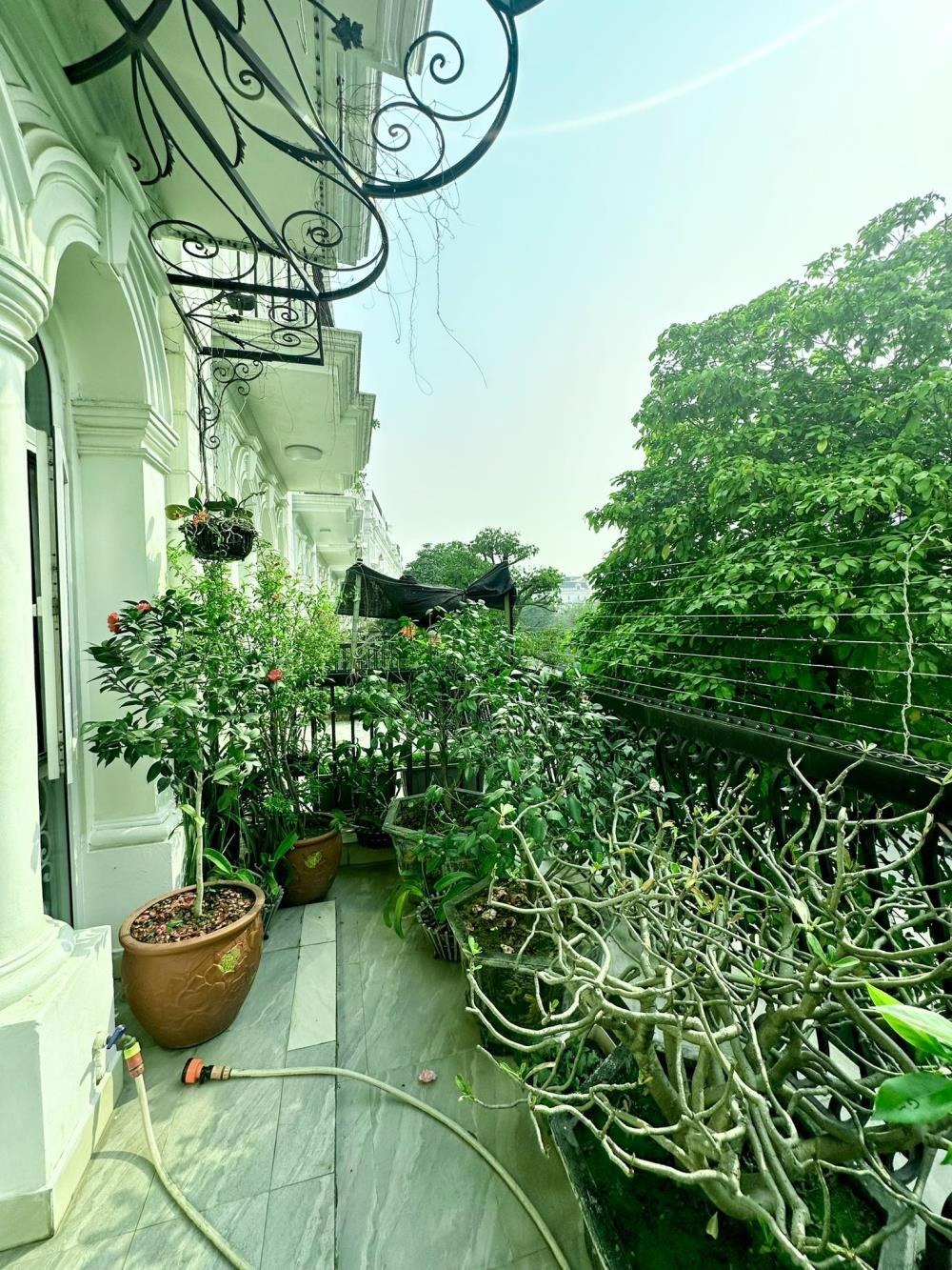Bán Biệt Thự Liền Kề Louis City Đại Mỗ: 109m2, 6 Tầng, Mặt Tiền 5m, 46.5 Tỷ