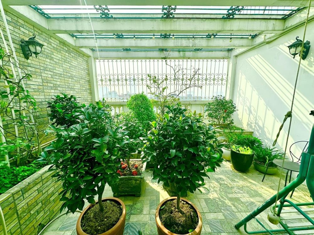 Bán Biệt Thự Liền Kề Louis City Đại Mỗ: 109m2, 6 Tầng, Mặt Tiền 5m, 46.5 Tỷ
