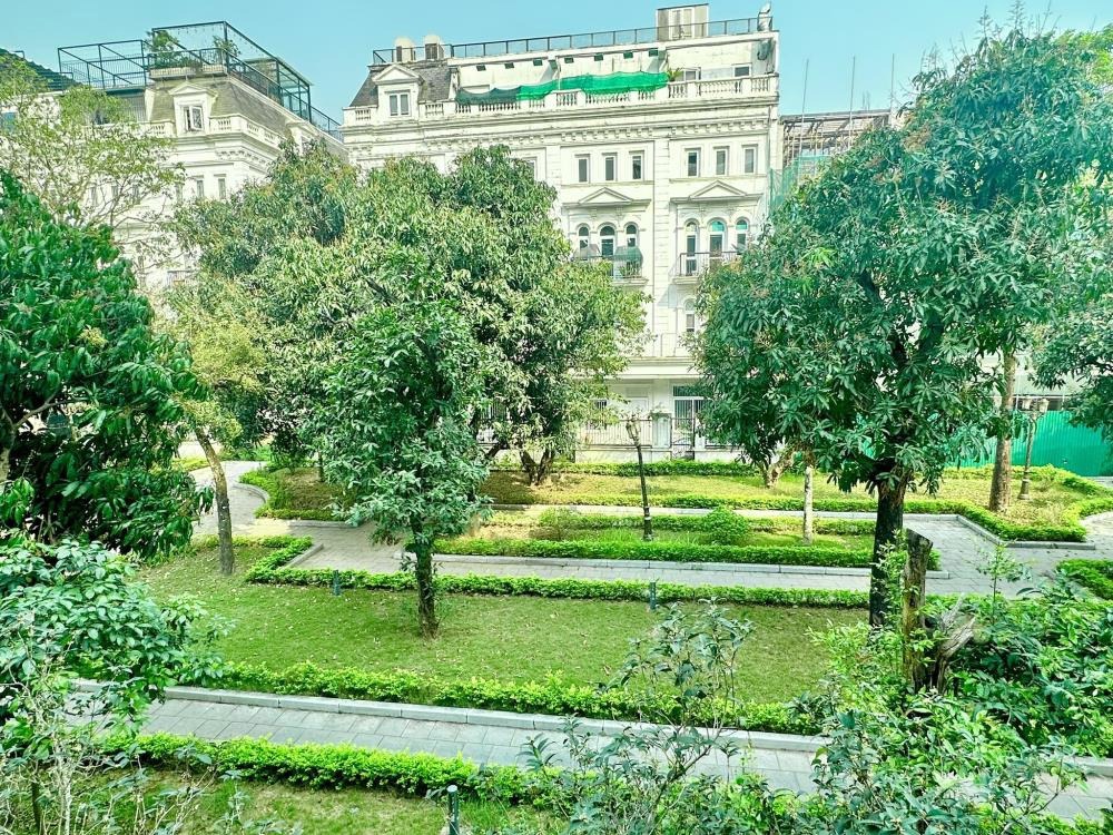 Bán Biệt Thự Liền Kề Louis City Đại Mỗ: 109m2, 6 Tầng, Mặt Tiền 5m, 46.5 Tỷ