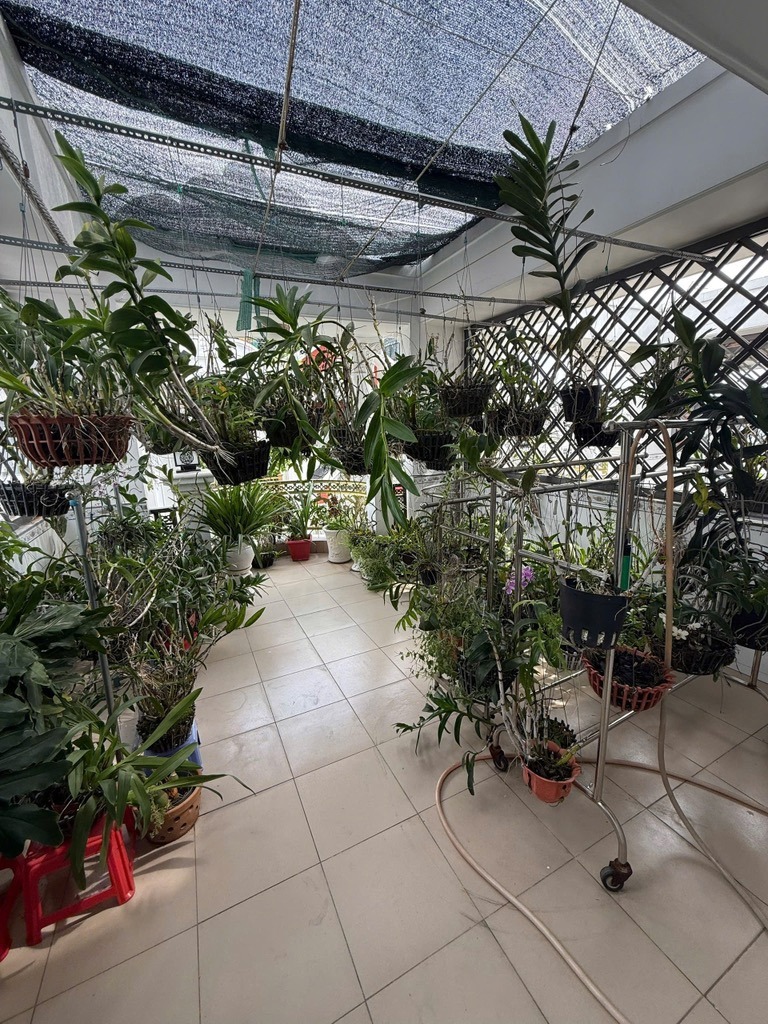 Bán nhà mặt tiền Lạc Long Quân, Tân Bình - 4 Tầng, 80m2, Kinh Doanh Đỉnh Cao
