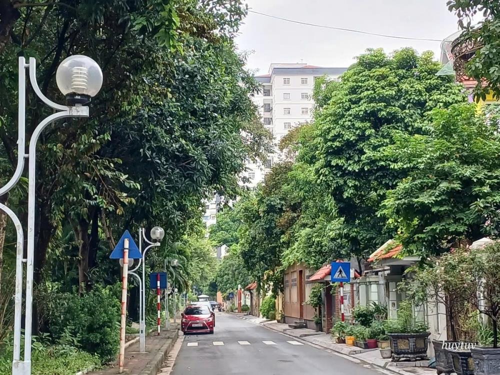 Bán Biệt Thự Mỹ Đình 200m2 - 60 tỷ - Vị Trí Đắc Địa, Thiết Kế Sang Trọng