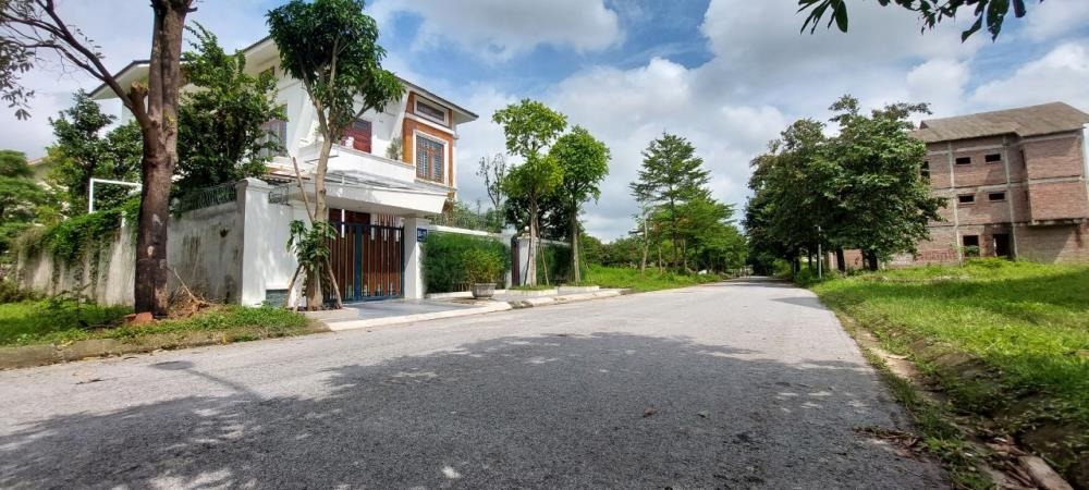 Bán Đất Biệt Thự Khu Đô Thị Hà Phong: Vị Trí Đẹp, Giá Đầu Tư Tốt