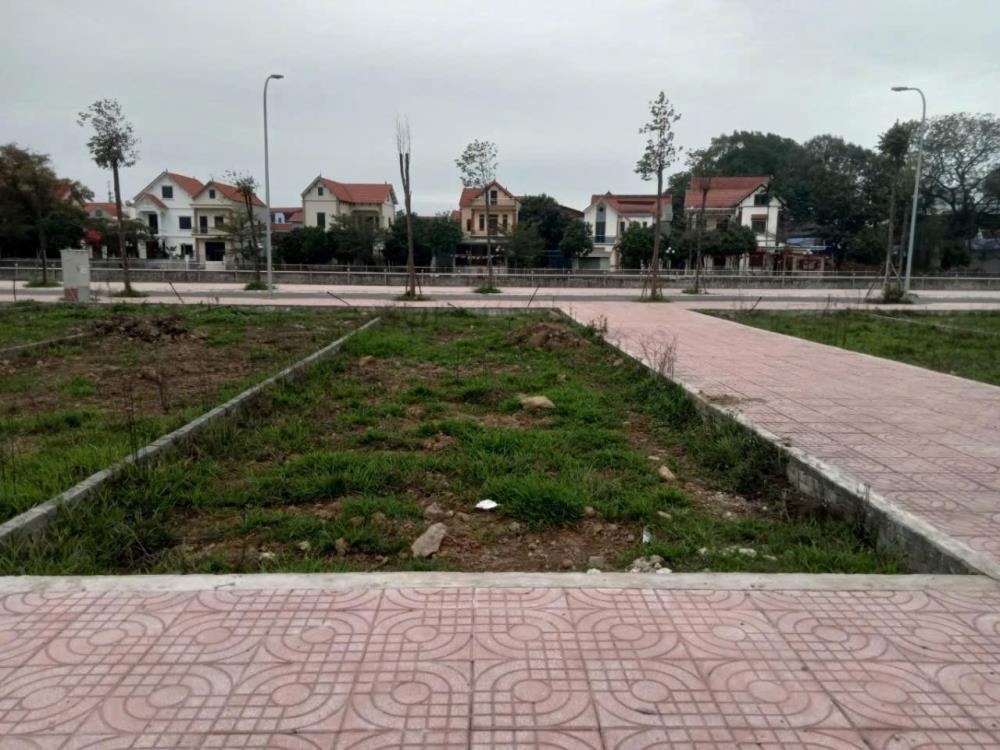 Bán Đất Đông La Hoài Đức 105m2 - Giá 13.8 Tỷ - Vị Trí Đẹp