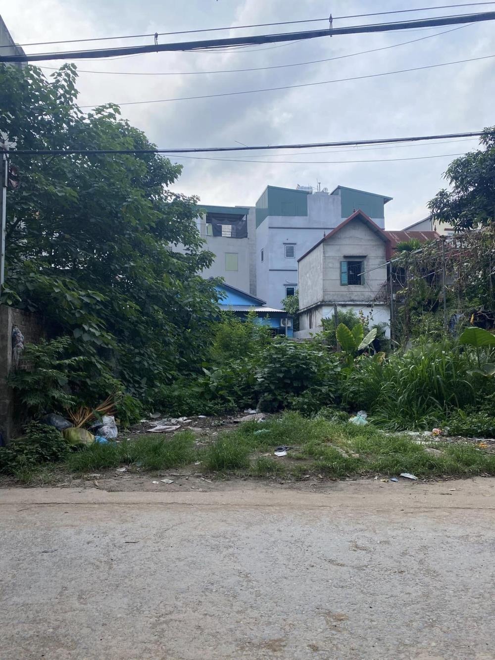 Phân Lô Tân Phong 74m2 Mặt Tiền Rộng, Kinh Doanh Đỉnh Cao, Gần Đại Học