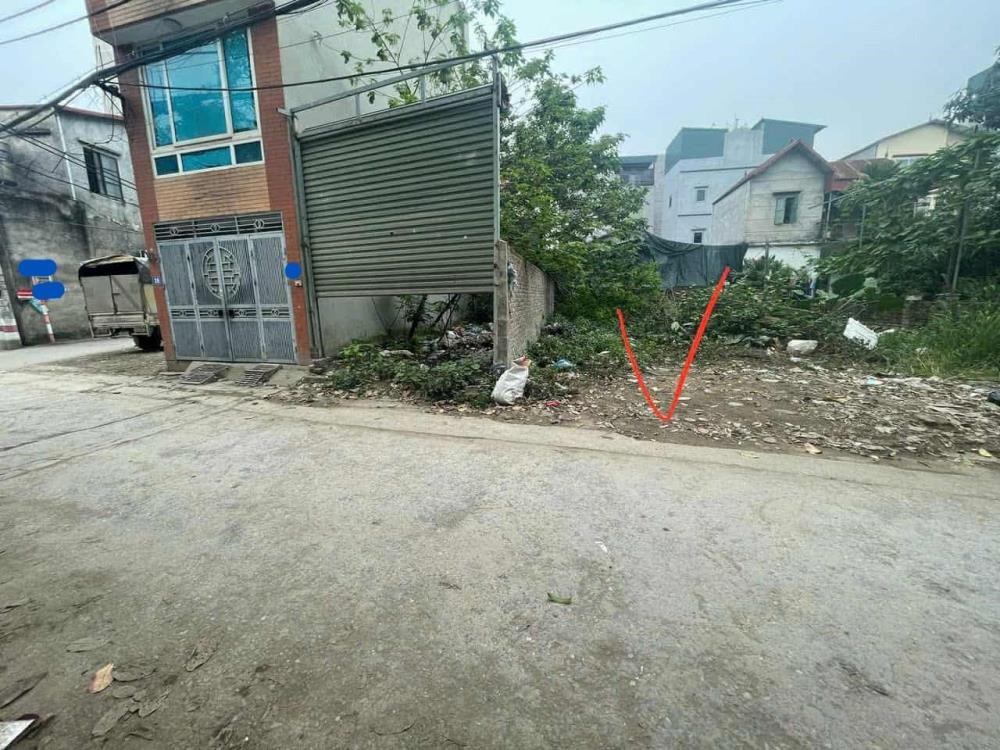 Phân Lô Tân Phong 74m2 Mặt Tiền Rộng, Kinh Doanh Đỉnh Cao, Gần Đại Học