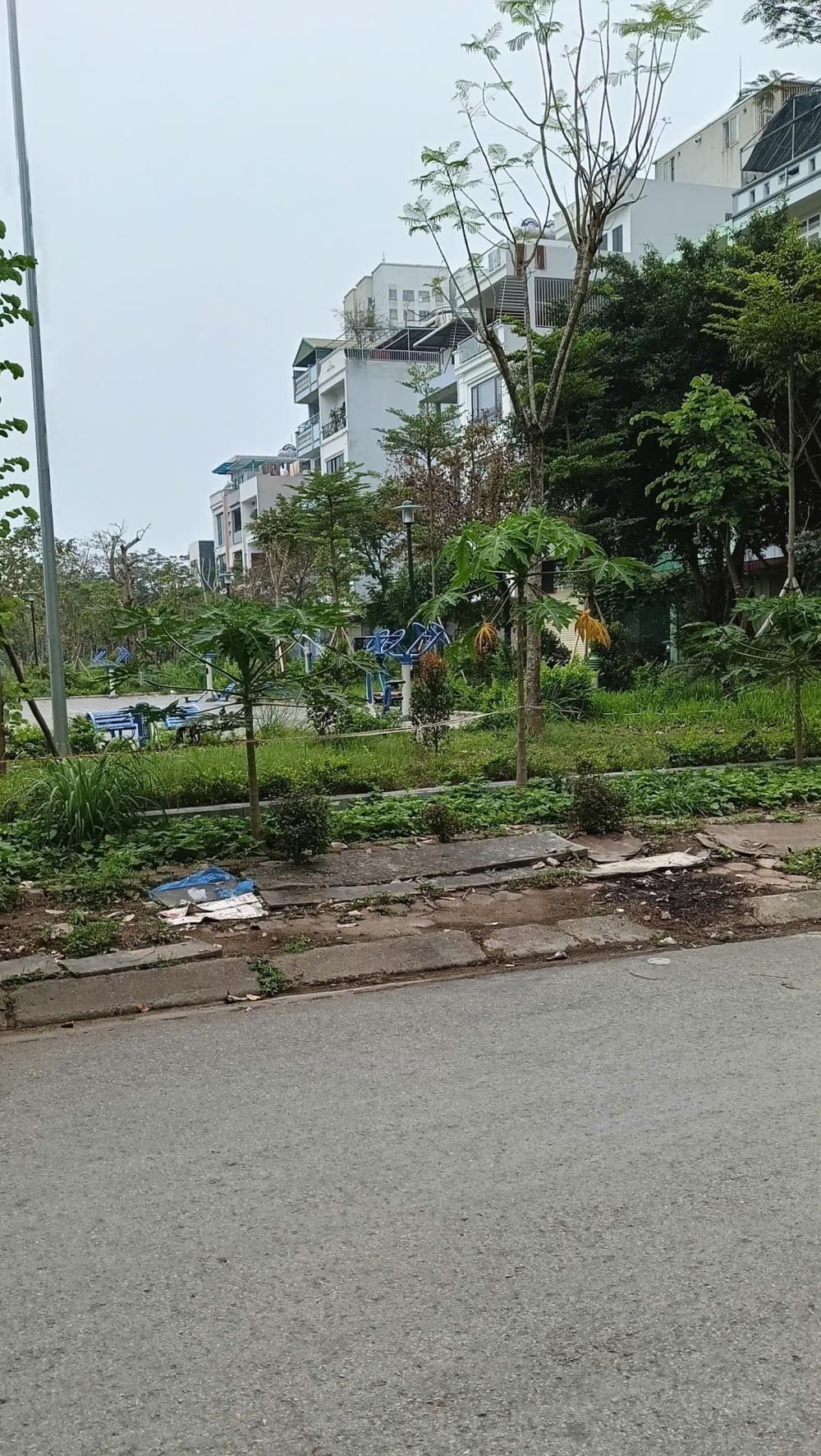 Bán Đất Phân Lô Mậu Lương - 50m2 - Giá 10.3 Tỷ - Vị Trí Đẹp