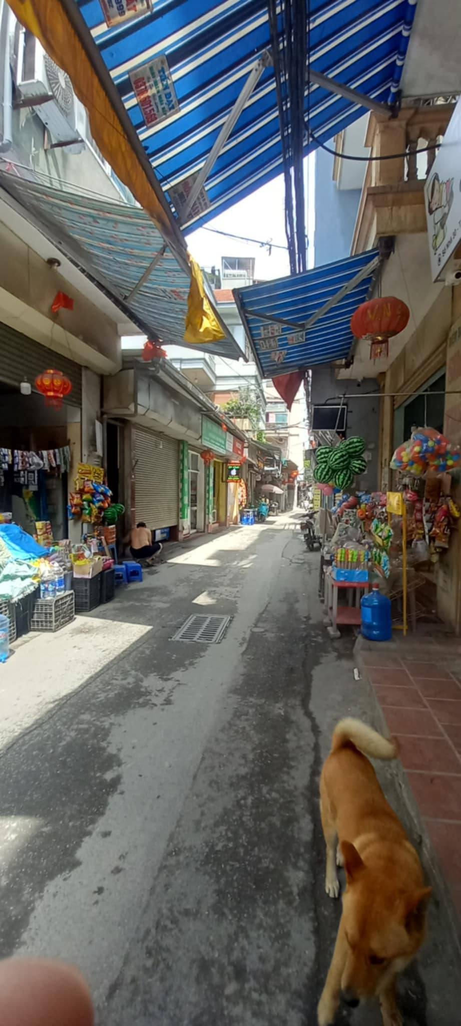 Bán Gấp 66m² Mặt Đường Phú Đô - Kinh Doanh, Ô Tô Về Tận Nhà - Giá 14.5 Tỷ