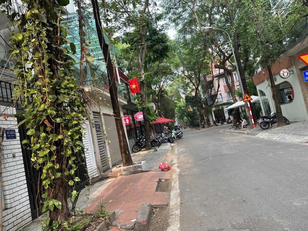 Nhà phân lô, vỉa hè Võ Văn Dũng, 128m² MT 8m, Ngõ Ô Tô Thông Bàn Cờ - Đất Đẹp Hiếm Có