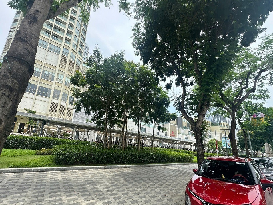 Siêu phẩm biệt thự VIP vườn đào Tây Hồ: View vườn hoa, có hầm, an ninh tuyệt đối
