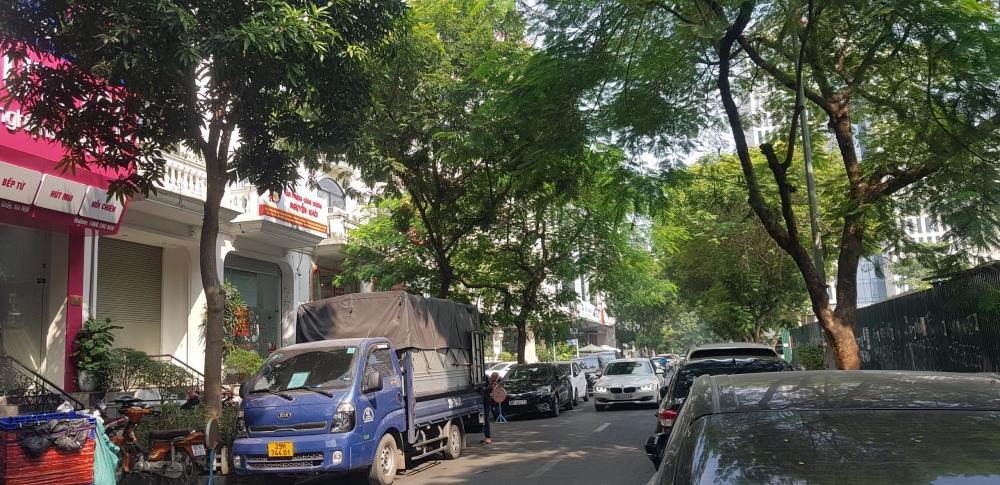 Bán Tòa Nhà 8 Tầng Trần Thái Tông, Cầu Giấy - Vị Trí VIP, Thiết Kế Hiện Đại