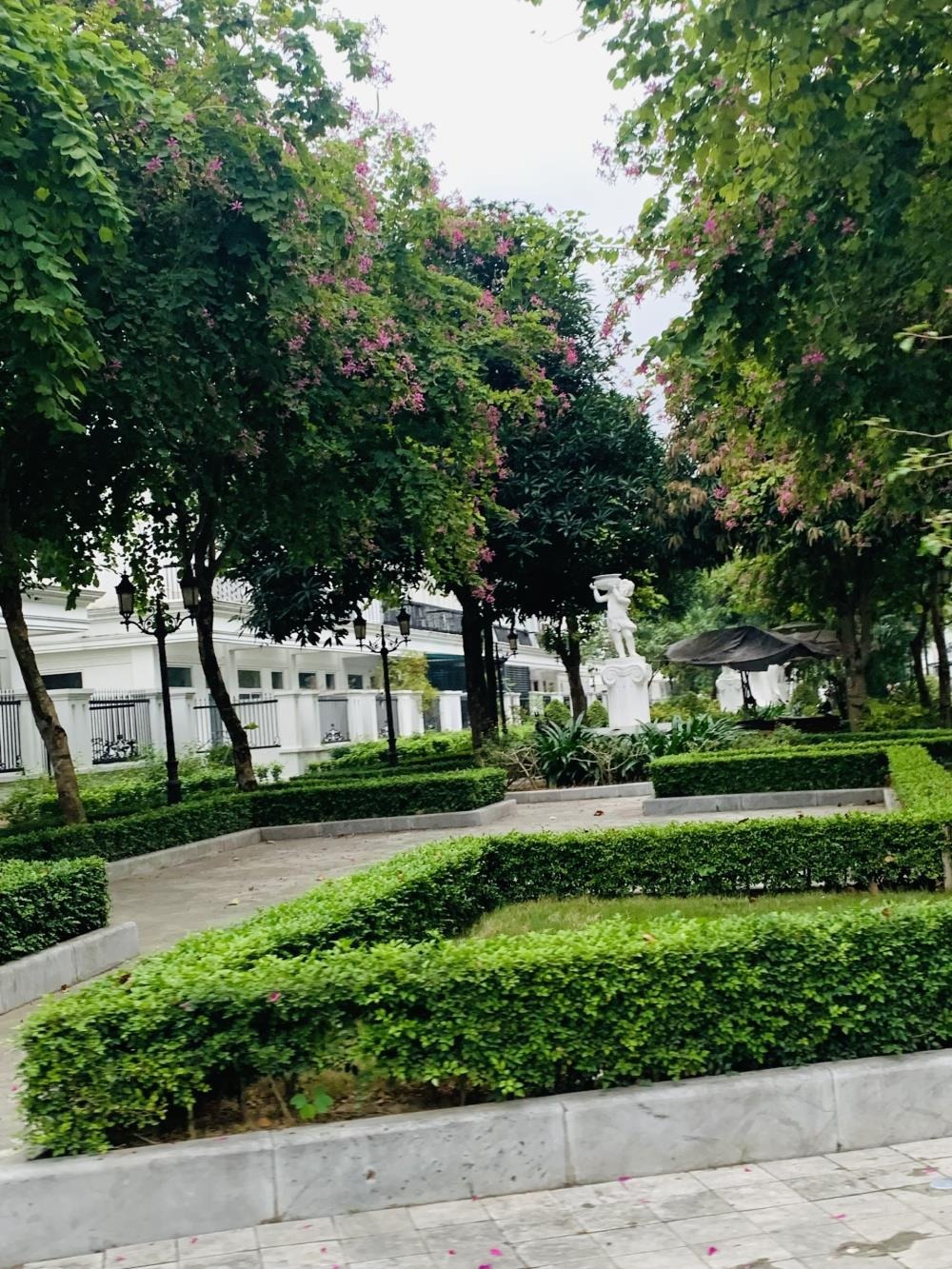 Bán nhà liền kề Louis Đại Mỗ 120m2, View Công Viên - Giá 39 tỷ