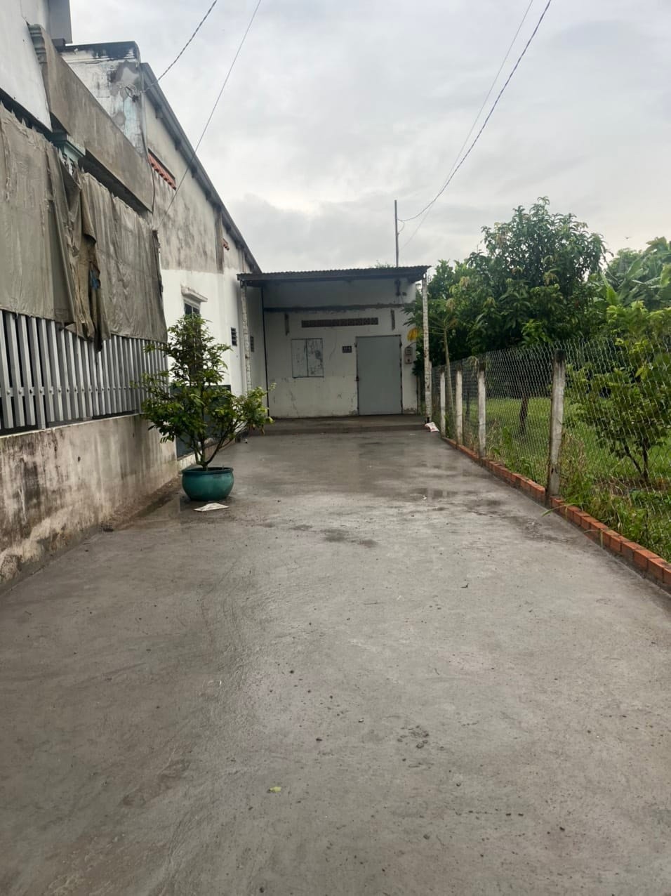 Chính Chủ Bán Đất Củ Chi - Full Thổ Cư, SHR - Ngân 6.5m, Gần Mặt Tiền