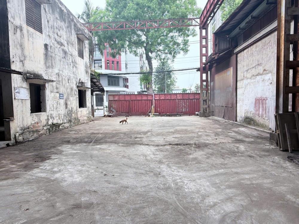 Cho Thuê Kho Xưởng Đức Giang, Long Biên - Diện Tích Lớn, Giá Tốt