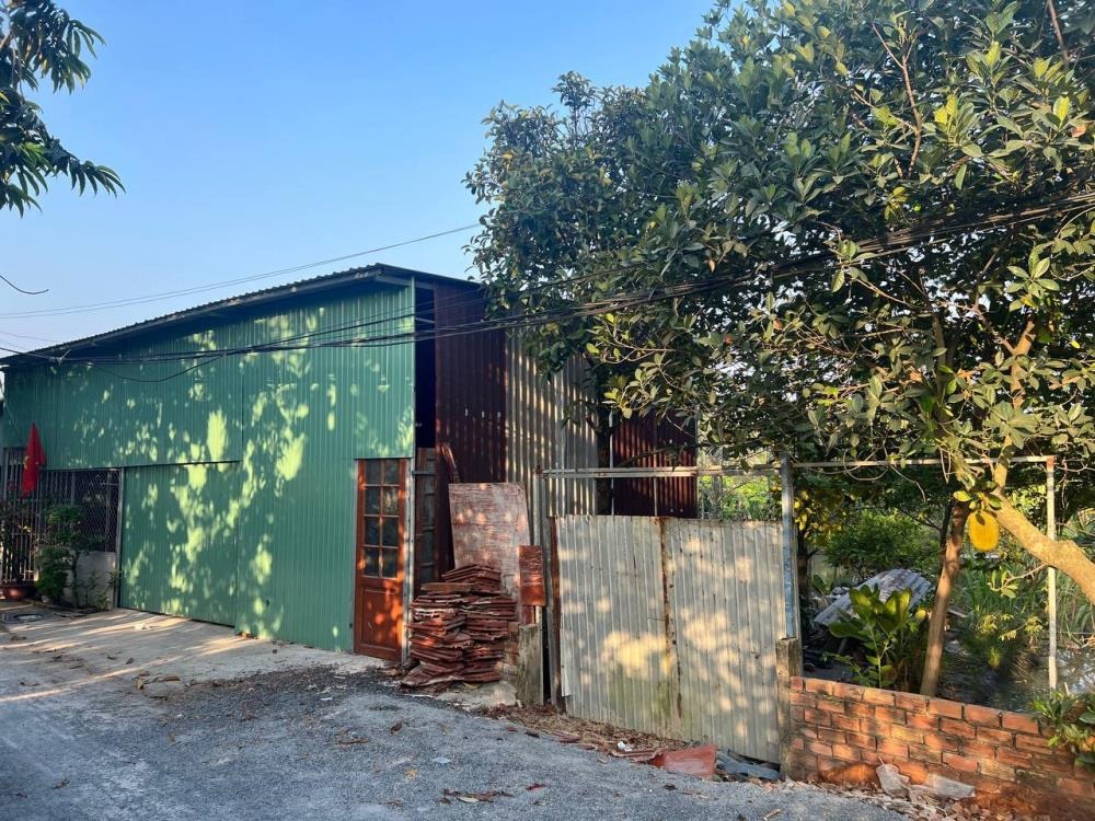 Chính Chủ Bán Đất Thổ Cư Đường Võ Thị Đầy, Hóc Môn - 1086m2, Giá Tốt