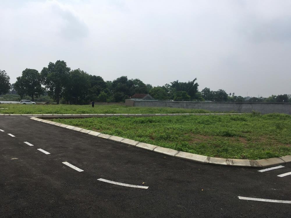 Bán Đất Phú Cát, Hòa Lạc - 102m2, Sổ Đỏ, Gần QL21, Tiềm Năng Đầu Tư