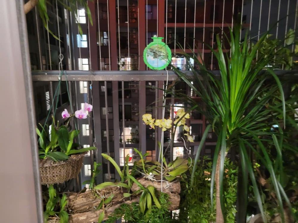 Bán Căn Hộ 3 Phòng Ngủ Chung Cư Bình Minh Garden - Giá 5.85 Tỷ