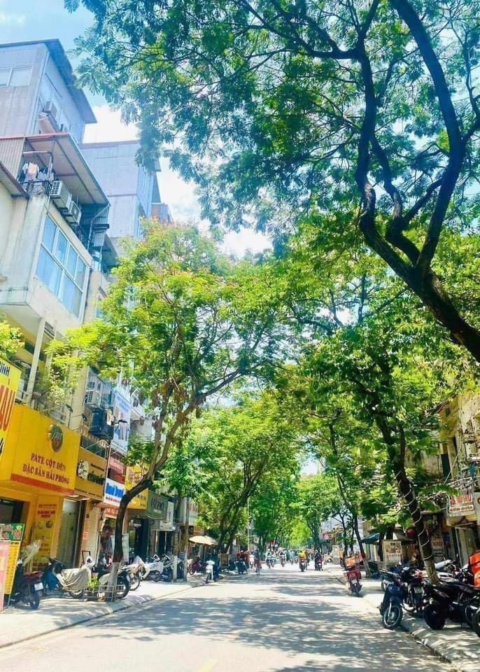 Mặt Bằng Kinh Doanh Chợ Chim Yên Phúc - Vị Trí Đắc Địa, Giá Tốt