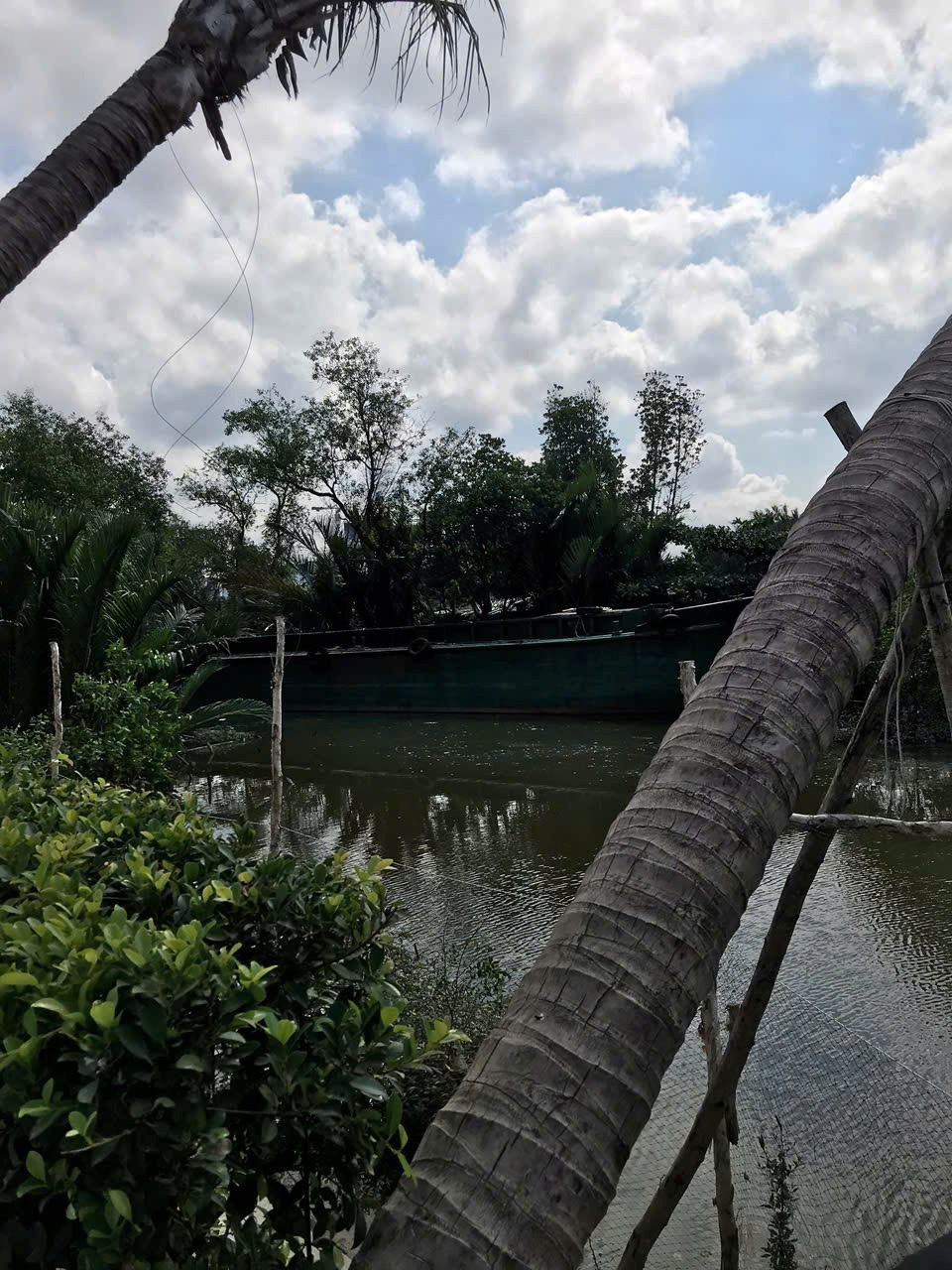 Bán Lô Đất View Sông Phong Phú, Bình Chánh - Vị Trí Đẹp, Giá Tốt