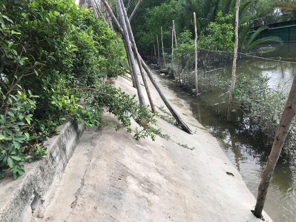 Bán Lô Đất View Sông Phong Phú, Bình Chánh - Vị Trí Đẹp, Giá Tốt