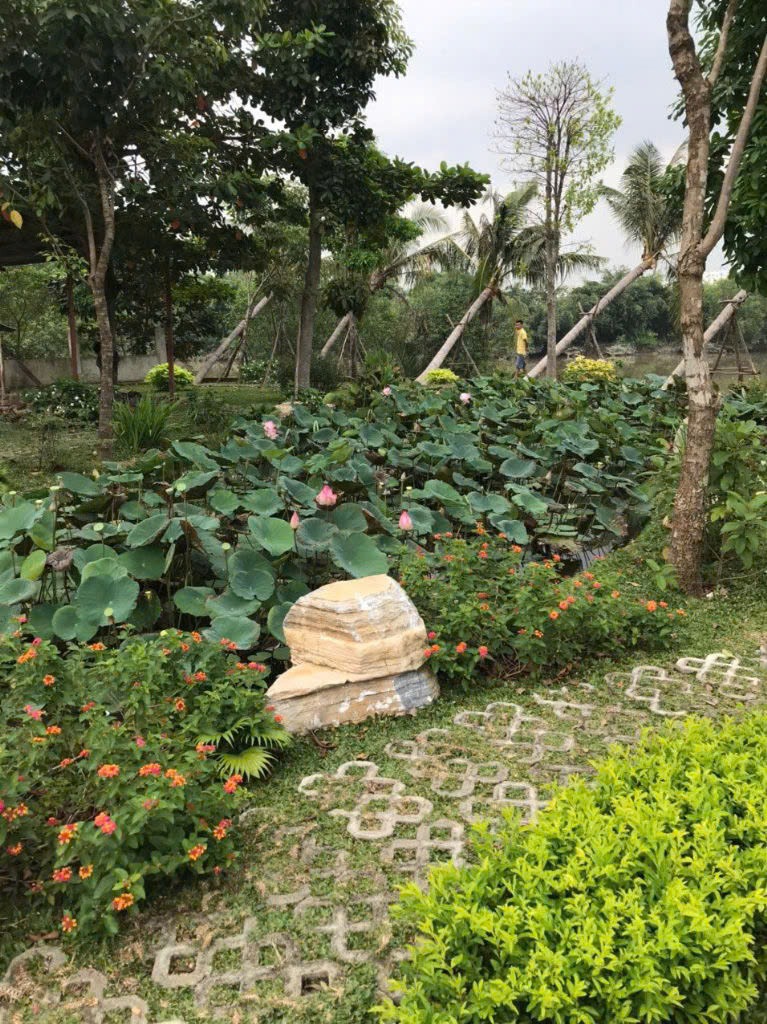 Bán Lô Đất View Sông Phong Phú, Bình Chánh - Vị Trí Đẹp, Giá Tốt