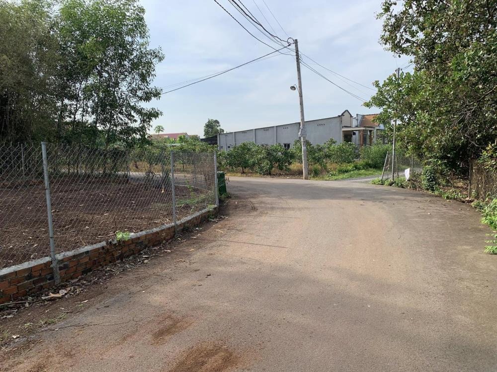 Bán Đất Full Thổ Cư Củ Chi - 208m2 SHR - Giá Tốt - Đầu Tư/Ở