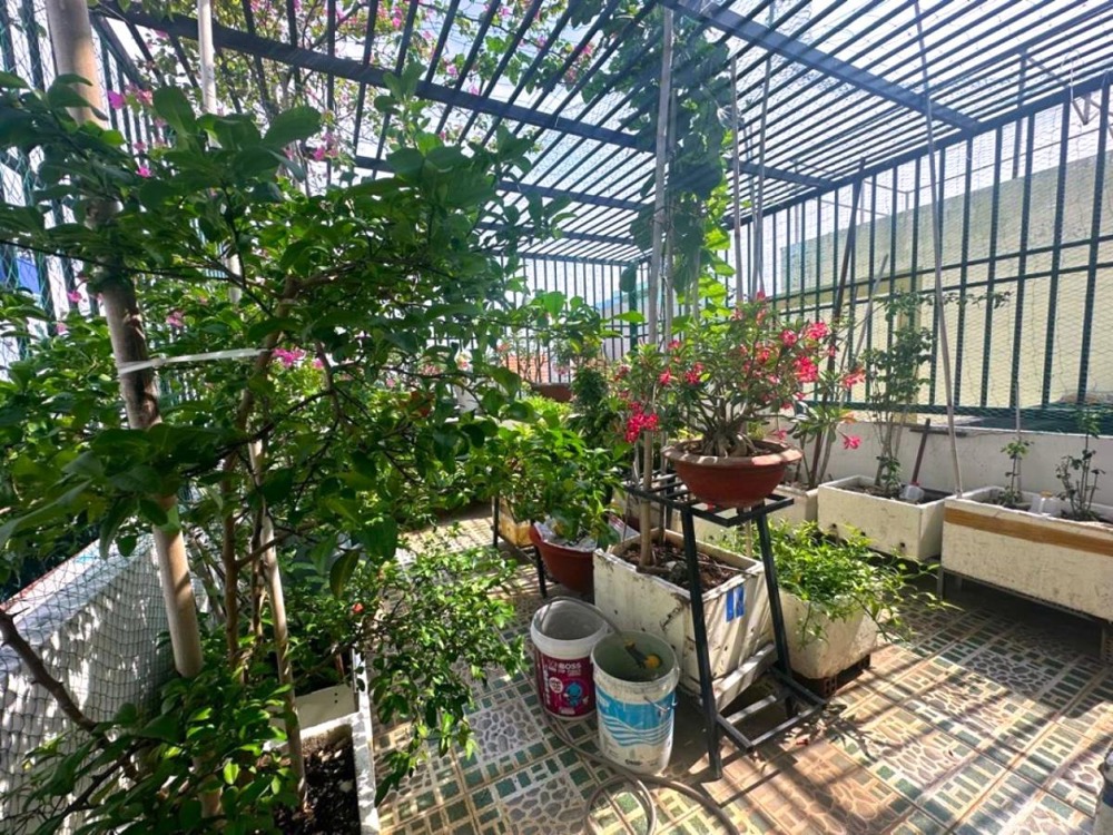 Nhà 3 Tầng Chợ Vườn Lài Quận 12: 53m2, 5.x Tỷ - Vị Trí Đắc Địa